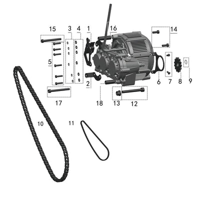 Motor & Gearbox - Silent Cycle